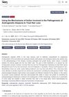 Using the Mechanisms of Action Involved in the Pathogenesis of Androgenetic Alopecia to Treat Hair Loss