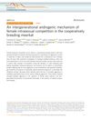An Intergenerational Androgenic Mechanism of Female Intrasexual Competition in the Cooperatively Breeding Meerkat