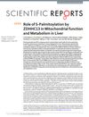 Role of S-Palmitoylation by ZDHHC13 in Mitochondrial Function and Metabolism in Liver