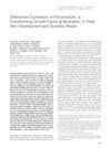 Differential Expression of Fibromodulin, a Transforming Growth Factor-Beta Modulator, in Fetal Skin Development and Scarless Repair