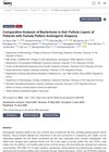Comparative Analysis of Bacteriome in Hair Follicle Layers of Patients with Female Pattern Androgenic Alopecia