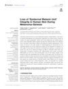Loss of Epidermal Melanin Unit Integrity in Human Skin During Melanoma Genesis