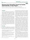Rosacea-Like Dermatitis Caused by Icotinib Hydrochloride: A Case Report