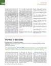 The Role of the PI3K Pathway in Maintaining Pluripotency in Mouse and Human Embryonic Stem Cells