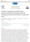 CuCS/Cur Composite Wound Dressings Promote Neuralized Skin Regeneration by Rebuilding the Nerve Cell Factory in Deep Skin Burns