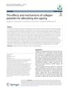 The Effects and Mechanisms of Collagen Peptides for Alleviating Skin Aging