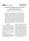 Action Mechanism of Chamaecyparis Obtusa Oil on Hair Growth