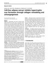 Cell-Free Adipose Extract Inhibits Hypertrophic Scar Formation Through Collagen Remodeling and Antiangiogenesis