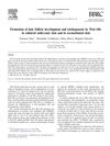 Promotion of Hair Follicle Development and Trichogenesis by Wnt-10b in Cultured Embryonic Skin and Reconstituted Skin