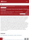 AP-2α/AP-2β Transcription Factors Are Key Regulators of Epidermal Homeostasis