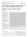 SlPHL1, a MYB-CC Transcription Factor Identified from Tomato, Positively Regulates the Phosphate Starvation Response