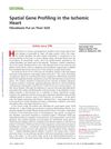 Spatial Gene Profiling in the Ischemic Heart