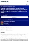 Effect of N-Acetylcysteine on Hair Follicle Changes in Mouse Model of Cyclophosphamide-Induced Alopecia: Histological and Biochemical Study