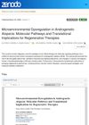 Microenvironmental Dysregulation in Androgenetic Alopecia: Molecular Pathways and Translational Implications for Regenerative Therapies