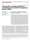 A Doxycycline- and Light-Inducible Cre Recombinase Mouse Model for Optogenetic Genome Editing