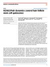 H2AK119ub Dynamics Control Hair Follicle Stem Cell Quiescence