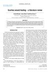 Scarless Wound Healing: A Literature Review