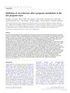 Inhibition of 5α-Reductase Alters Pregnane Metabolism in the Late Pregnant Mare