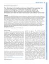 The Disintegrin/Metalloproteinase Adam10 Is Essential for Epidermal Integrity and Notch-Mediated Signaling