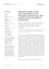 Expression Profile of Long Non-Coding RNA in Inner Mongolian Cashmere Goat With Putative Roles in Hair Follicles Development