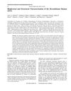 A Randomized Evaluator Blinded Study of Effect of Microneedling in Androgenetic Alopecia: A Pilot Study