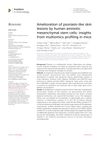 Amelioration of Psoriasis-Like Skin Lesions by Human Amniotic Mesenchymal Stem Cells: Insights from Multiomics Profiling in Mice