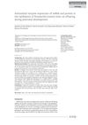 Antioxidant Enzyme Expression of mRNA and Protein in the Epididymis of Finasteride-Treated Male Rat Offspring During Postnatal Development