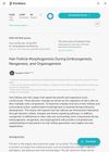 Hair Follicle Morphogenesis During Embryogenesis, Neogenesis, and Organogenesis