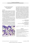 An Underrecognized Adverse Effect of Azithromycin: Agranulocytosis in a 67-Year-Old Man