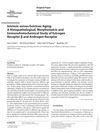 Intrinsic Versus Extrinsic Aging: A Histopathological, Morphometric, and Immunohistochemical Study of Estrogen Receptor β and Androgen Receptor