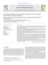 5α-Reductase Inhibition and Hair Growth Promotion of Some Thai Plants Traditionally Used for Hair Treatment