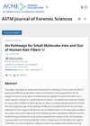 On Pathways for Small Molecules Into and Out of Human Hair Fibers