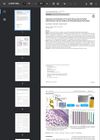 Preparation and Evaluation of Curcumin Nanocrystals for Topical Administration: Cell Line Analysis and Histopathological Examination