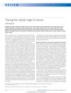 Tracing the Cellular Origin of Cancer