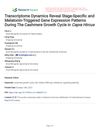 Transcriptome Dynamics Reveal Stage-Specific and Melatonin-Triggered Gene Expression Patterns During the Cashmere Growth Cycle in Capra Hircus
