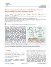 ROS-Scavenging Microneedles Loaded with Portulaca Oleracea L.-Derived Exosomes for Atopic Dermatitis Therapy