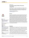 Histological Study of White Rhinoceros Integument