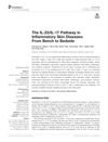 The IL-23/IL-17 Pathway in Inflammatory Skin Diseases: From Bench to Bedside