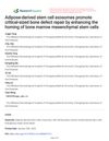Adipose-Derived Stem Cell Exosomes Promote Critical-Sized Bone Defect Repair by Enhancing the Homing of Bone Marrow Mesenchymal Stem Cells