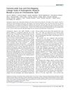 Genome-Wide Scan and Fine-Mapping Linkage Study of Androgenetic Alopecia Reveals a Locus on Chromosome 3q26