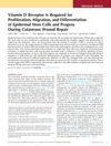 Vitamin D Receptor Is Required for Proliferation, Migration, and Differentiation of Epidermal Stem Cells and Progeny During Cutaneous Wound Repair