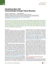 Hardwiring Stem Cell Communication Through Tissue Structure