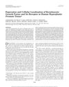 Expression and Cellular Localization of Keratinocyte Growth Factor and Its Receptor in Human Hyperplastic Prostate Tissue