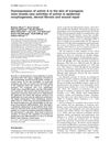 Overexpression of Activin A in the Skin of Transgenic Mice Reveals New Activities in Epidermal Morphogenesis, Dermal Fibrosis, and Wound Repair