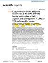 K15 Promoter-Driven Enforced Expression of NKIRAS Exhibits Tumor Suppressive Activity Against the Development of DMBA/TPA-Induced Skin Tumors