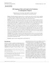 MR Imaging of Hair and Scalp for the Evaluation of Androgenetic Alopecia