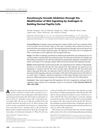 Keratinocyte Growth Inhibition Through the Modification of Wnt Signaling by Androgen in Balding Dermal Papilla Cells