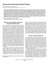 Human Hair Keratin-Associated Proteins