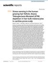 Stress-Sensing in the Human Greying Hair Follicle: Ataxia Telangiectasia Mutated (ATM) Depletion in Hair Bulb Melanocytes in Canities-Prone Scalp