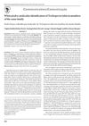 White Piedra: Molecular Identification of Trichosporon Inkin in Members of the Same Family